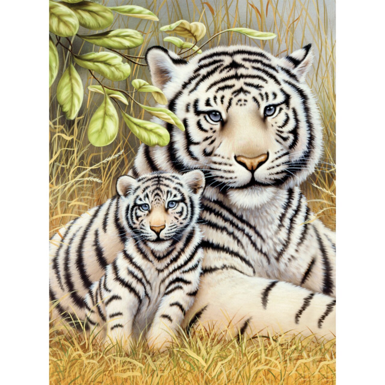 White Tiger Pair - Junior Small Paint By Number Kit 8.75"X11.75"